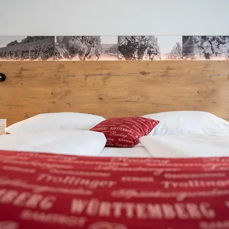 Πανδοχείο Vinotel Heinz J. Schwab